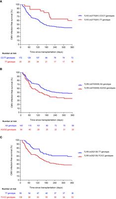 Influence of single-nucleotide polymorphisms in TLR3 (rs3775291) and TLR9 (rs352139) on the risk of CMV infection in kidney transplant recipients